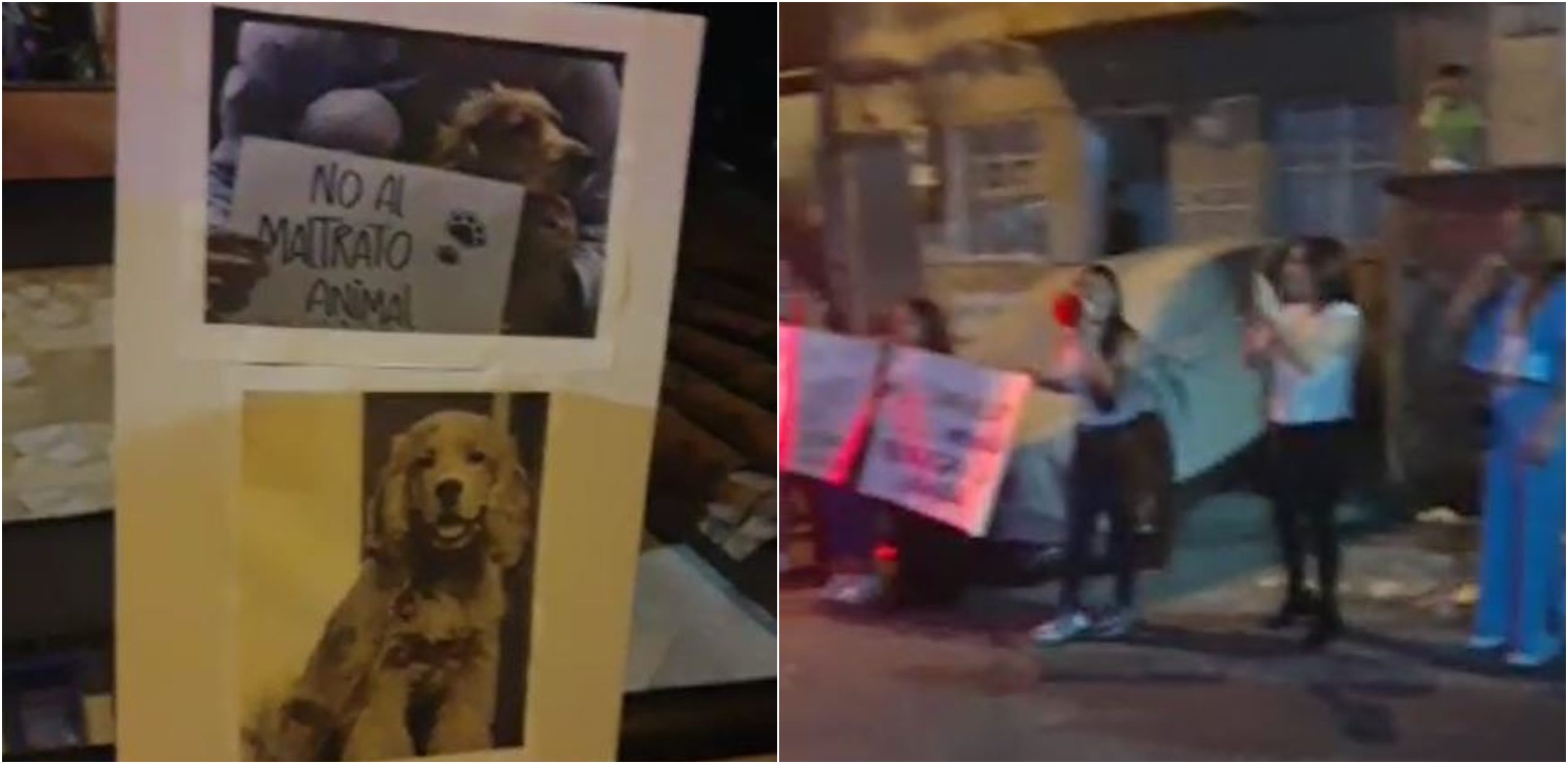 Comunidad protestó contra el maltrato animal de un perro en Loreto