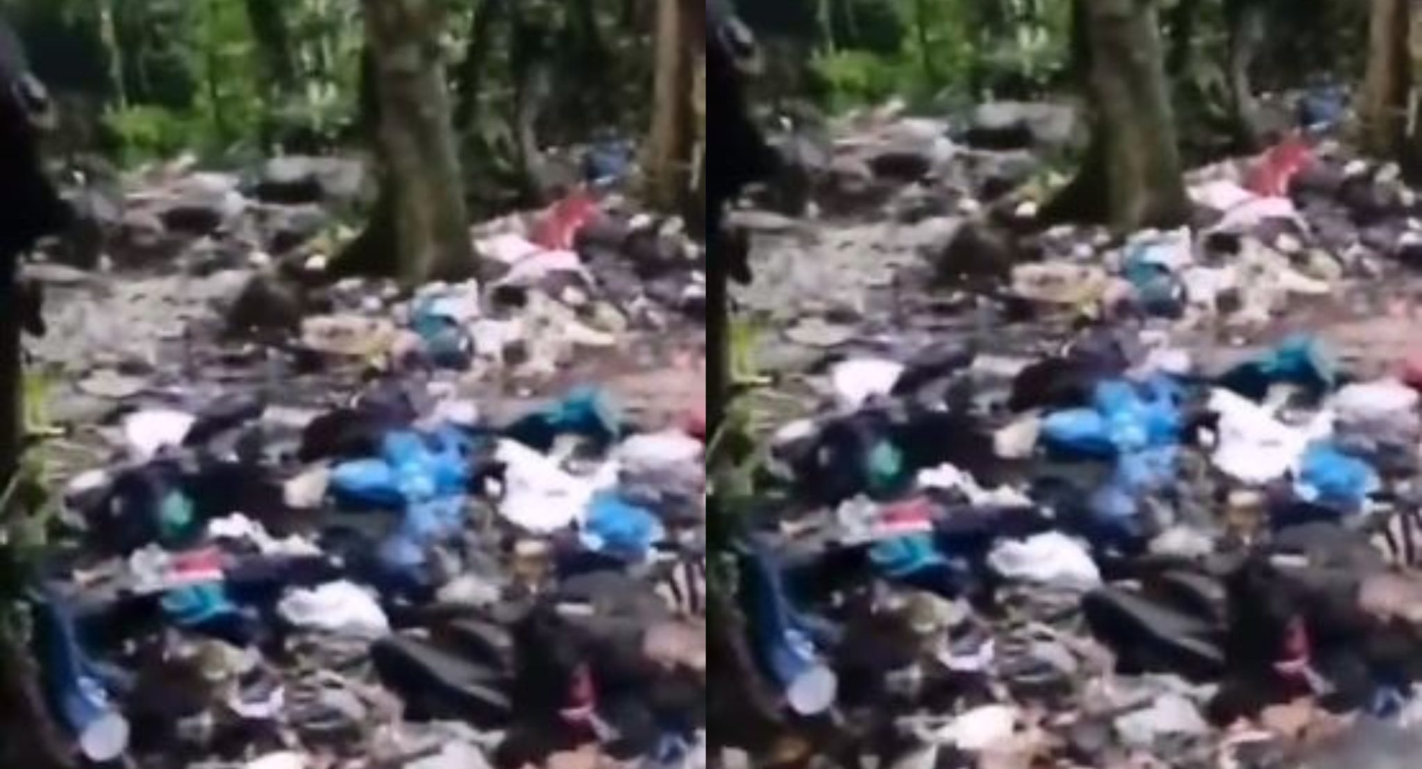 [Video]  ¿Selva o basurero? Este es el rastro de los migrantes en su paso por el Darién