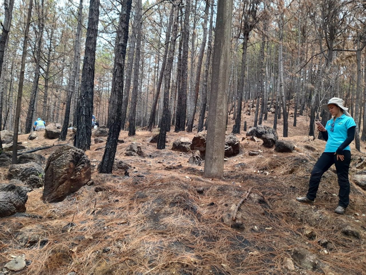 Incendios
