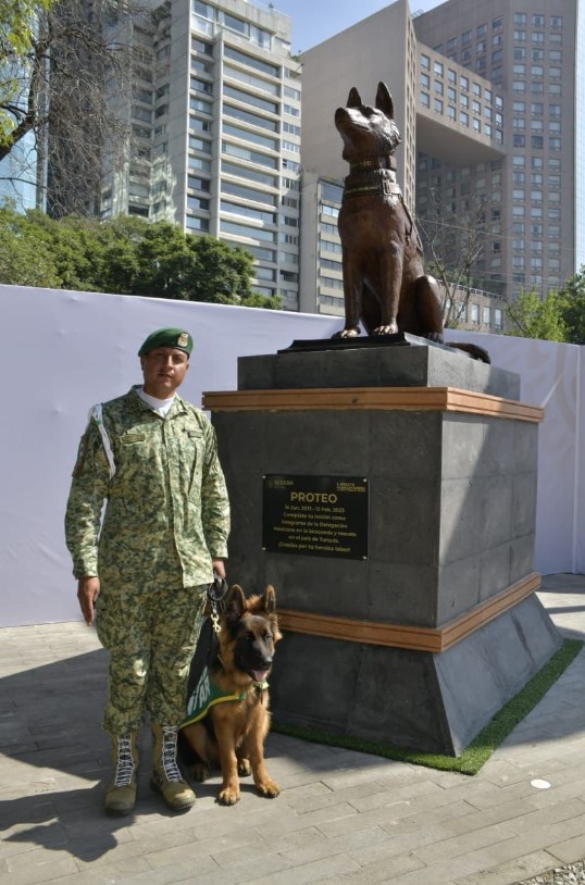 Proteo perro rescatista