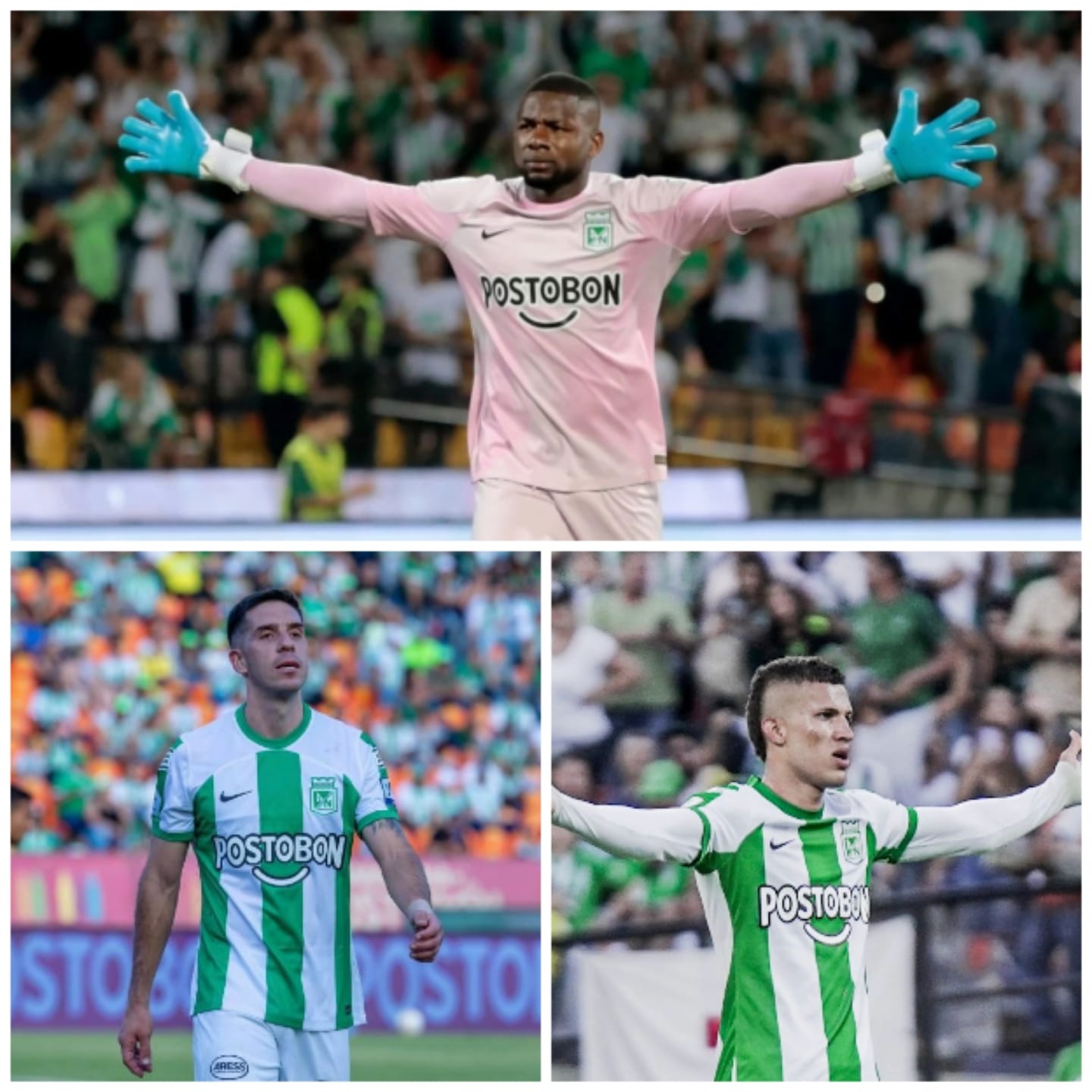 ¿Merecen seguir en el verde? Estos son los jugadores a los que se les vence el contrato en Atlético Nacional