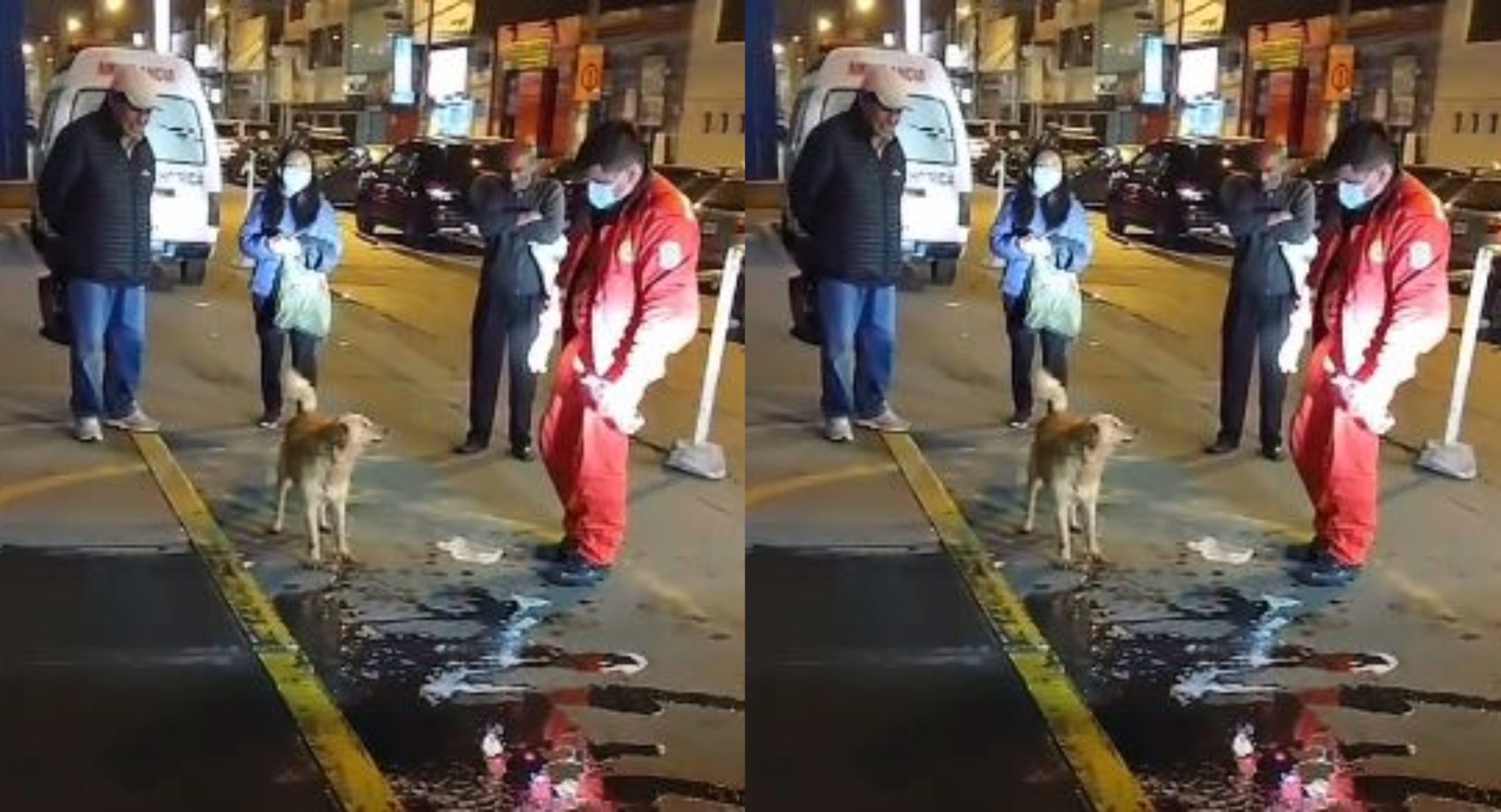 Perrito esperó a su dueño dos días frente al hospital que fue internado