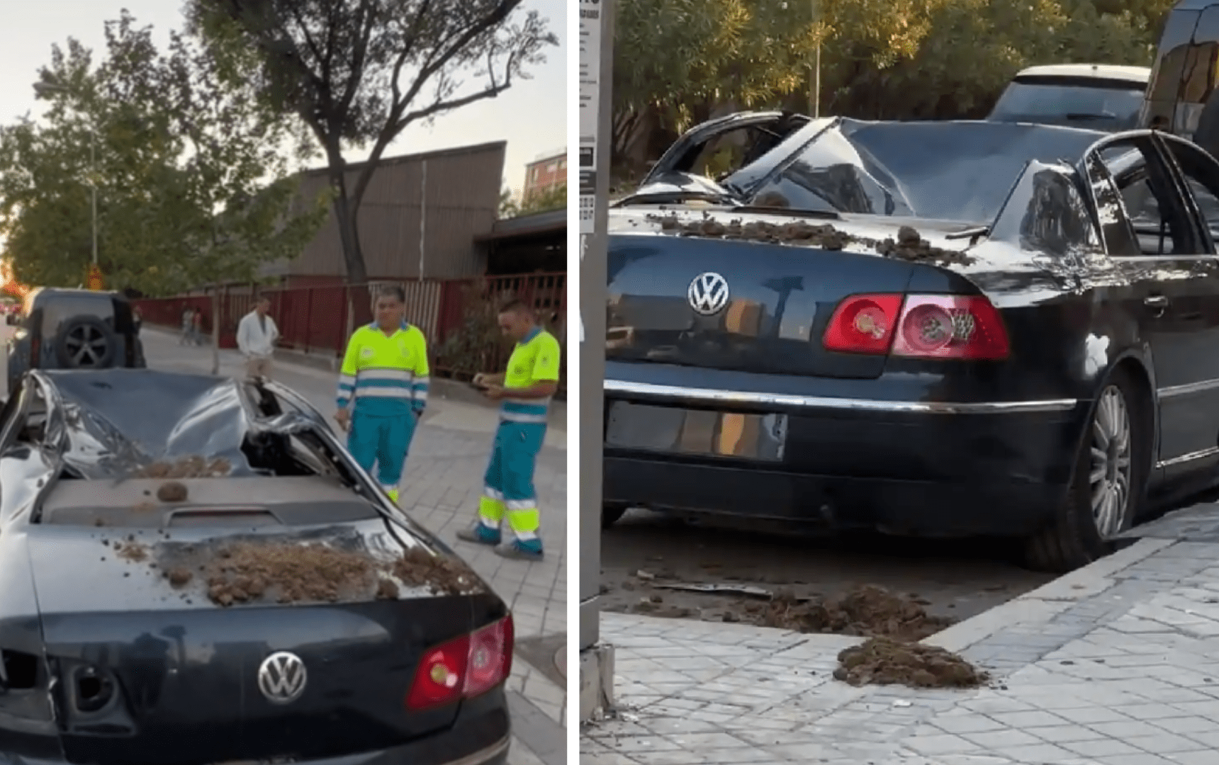 [Video] Un carro habría sido aplastado por un elefante en pleno centro de Madrid