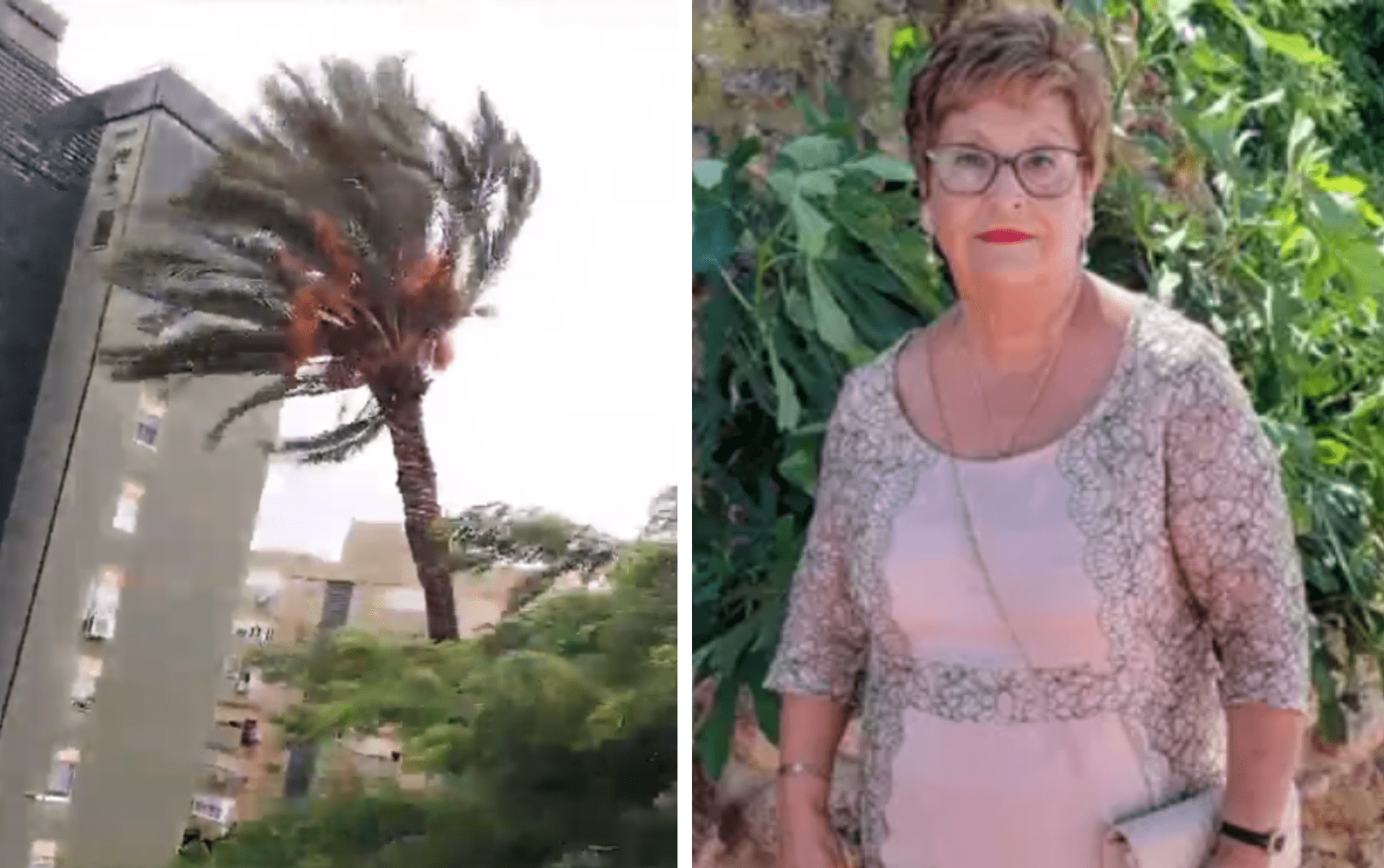 [Video] Abuela graba la caída de una palmera y se hace viral por su narración