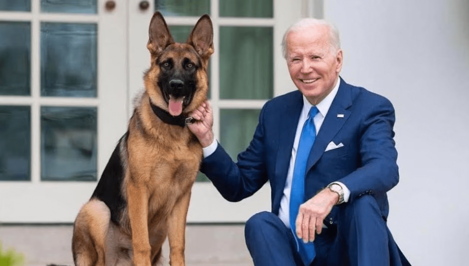 El perro de Joe Biden fue expulsado de la Casa Blanca