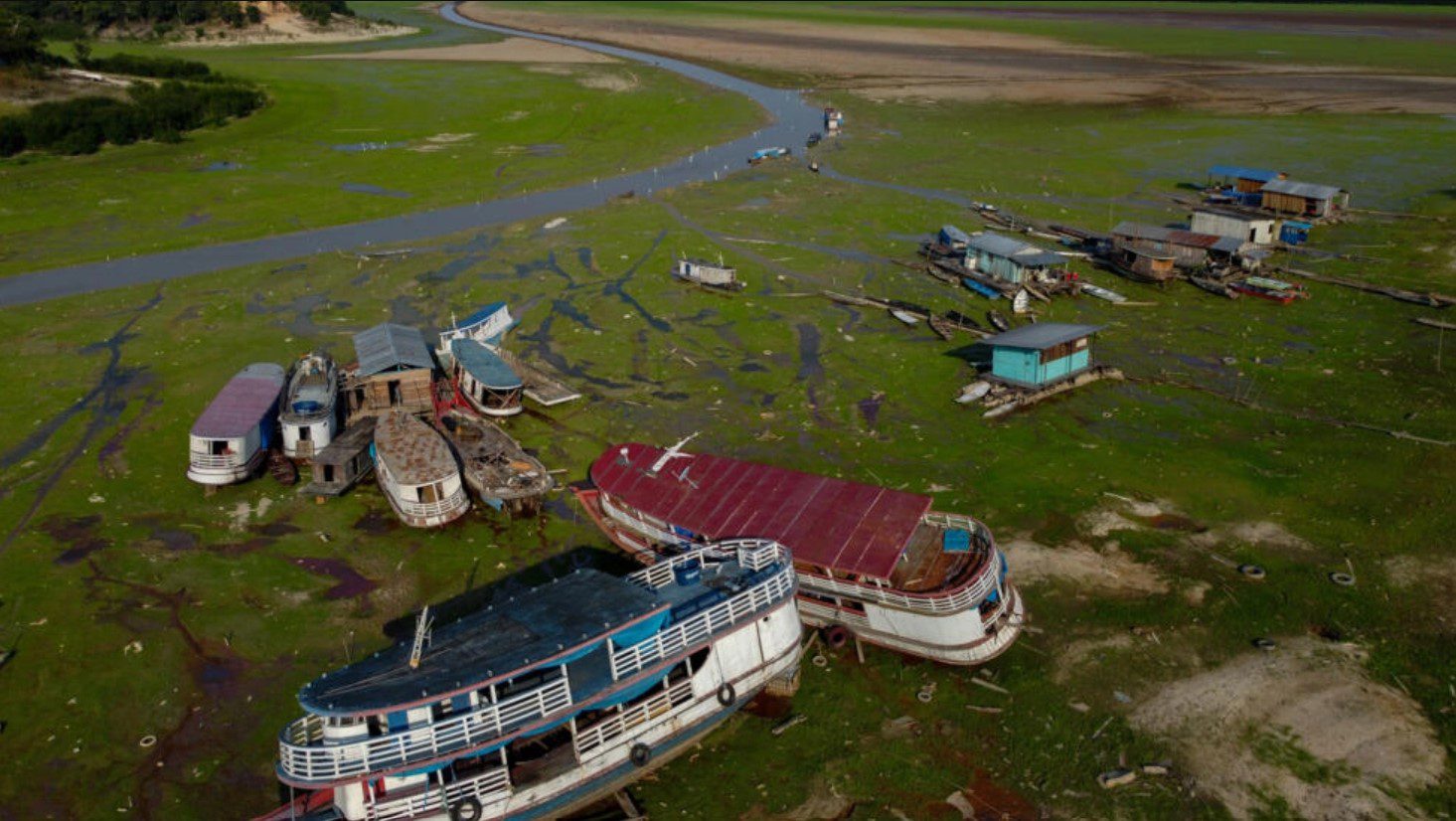 Sequía en e el Amazonas