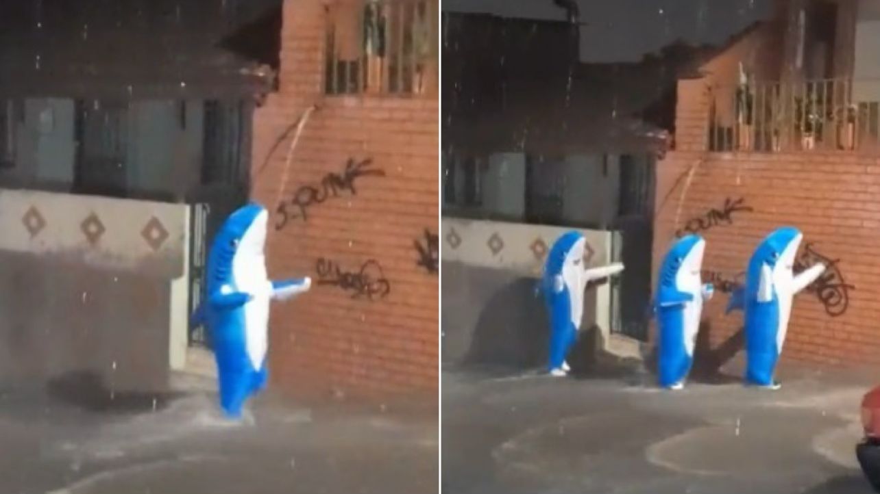 [Video] ¡Qué risa! Tiburones bailaron bajo la fuerte lluvia de Medellín