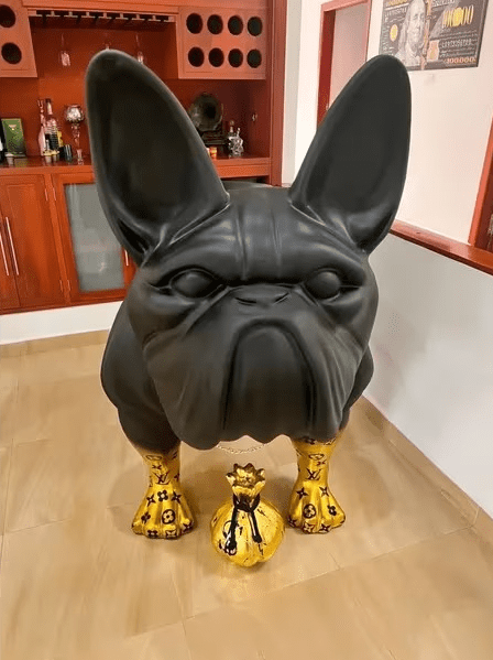 Bulldog oro