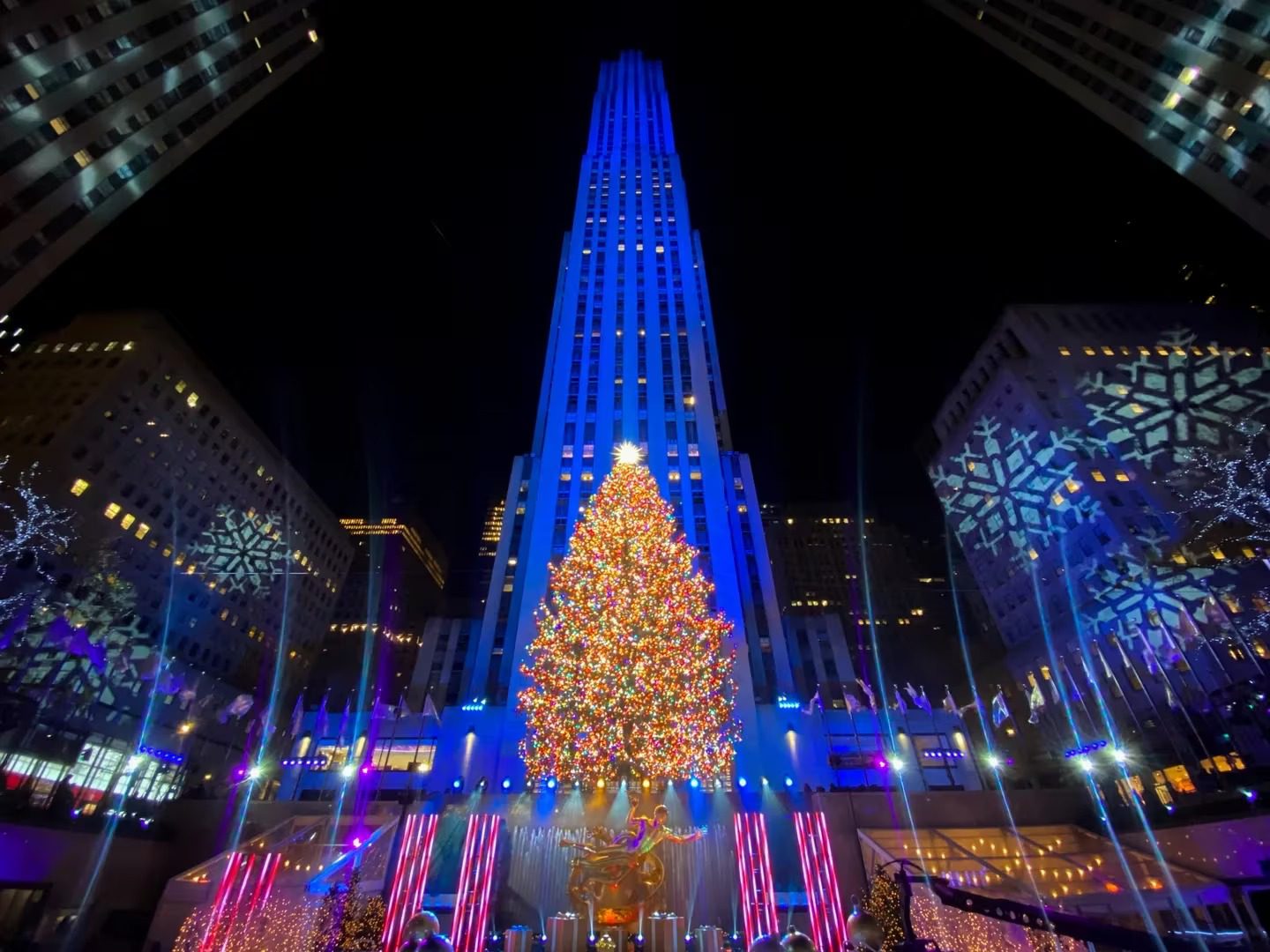 [Video] Así fue el encendido del alumbrado de uno de los árboles de Navidad más grandes del mundo