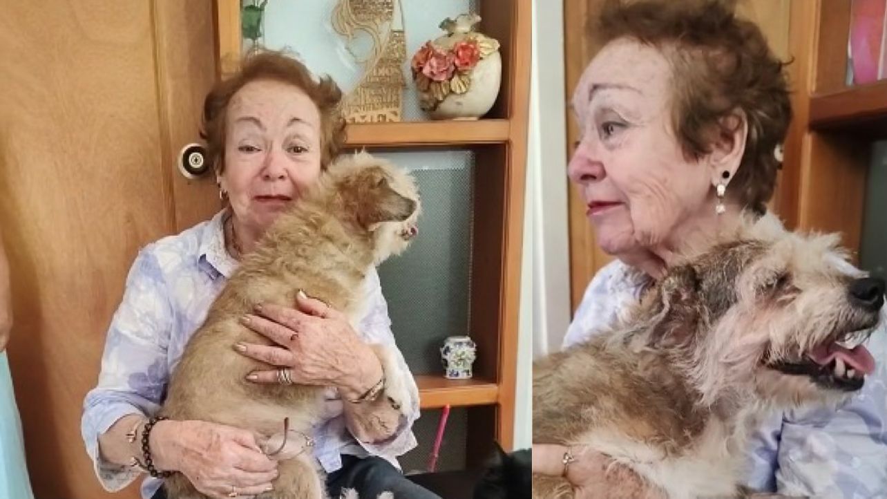 [Video] ¡Qué dolor! Denuncian que a una abuela de 82 años la dejaron en la calle con sus mascotas