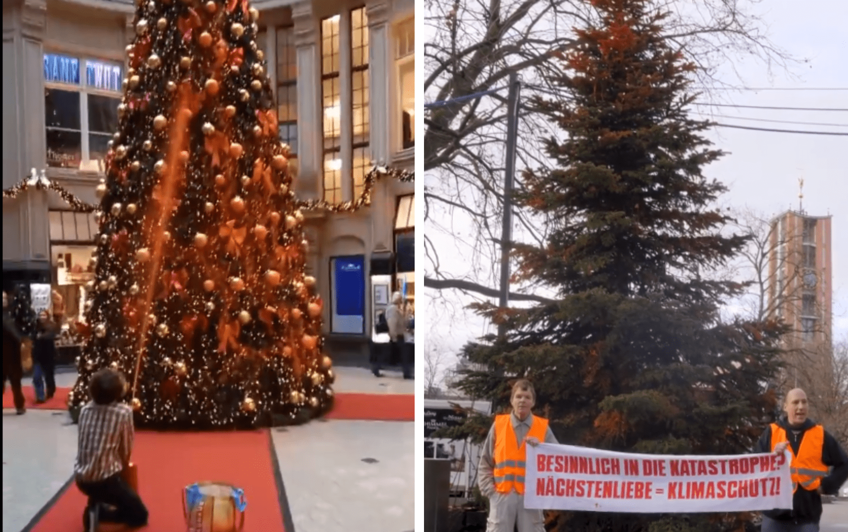 [Video] Vandalizan árboles de Navidad en Alemania