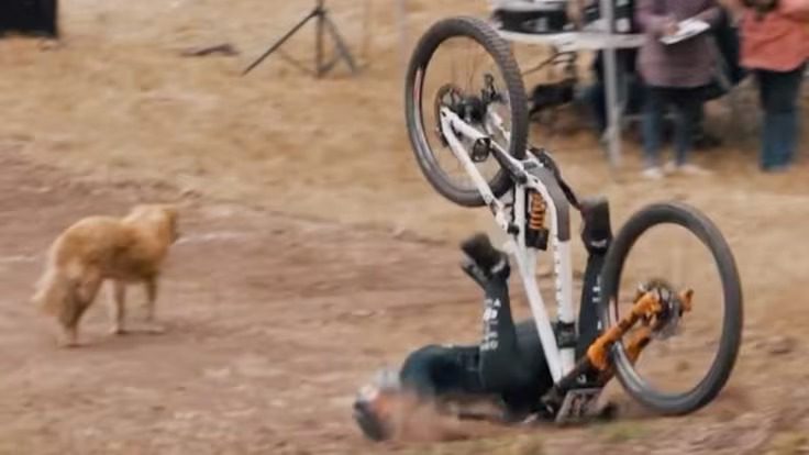 [Video] La terrible caída de un campeón en una bicicleta por evitar pisar a un perrito