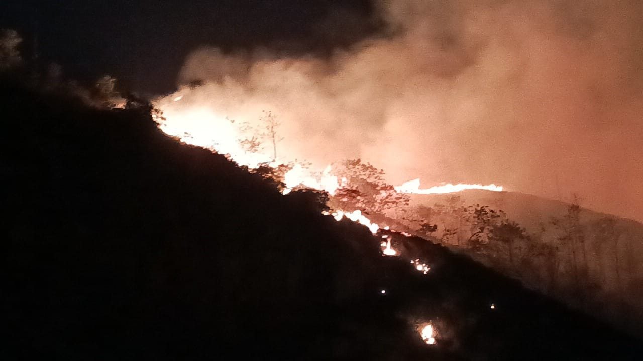 [Video] Incendio consumió 17 hectáreas de bosque en Maceo, Antioquia