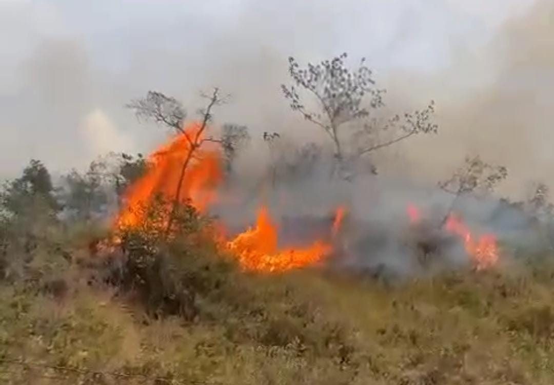 ¡Atención! Autoridades trabajan para controlar un incendio de gran magnitud en Machado