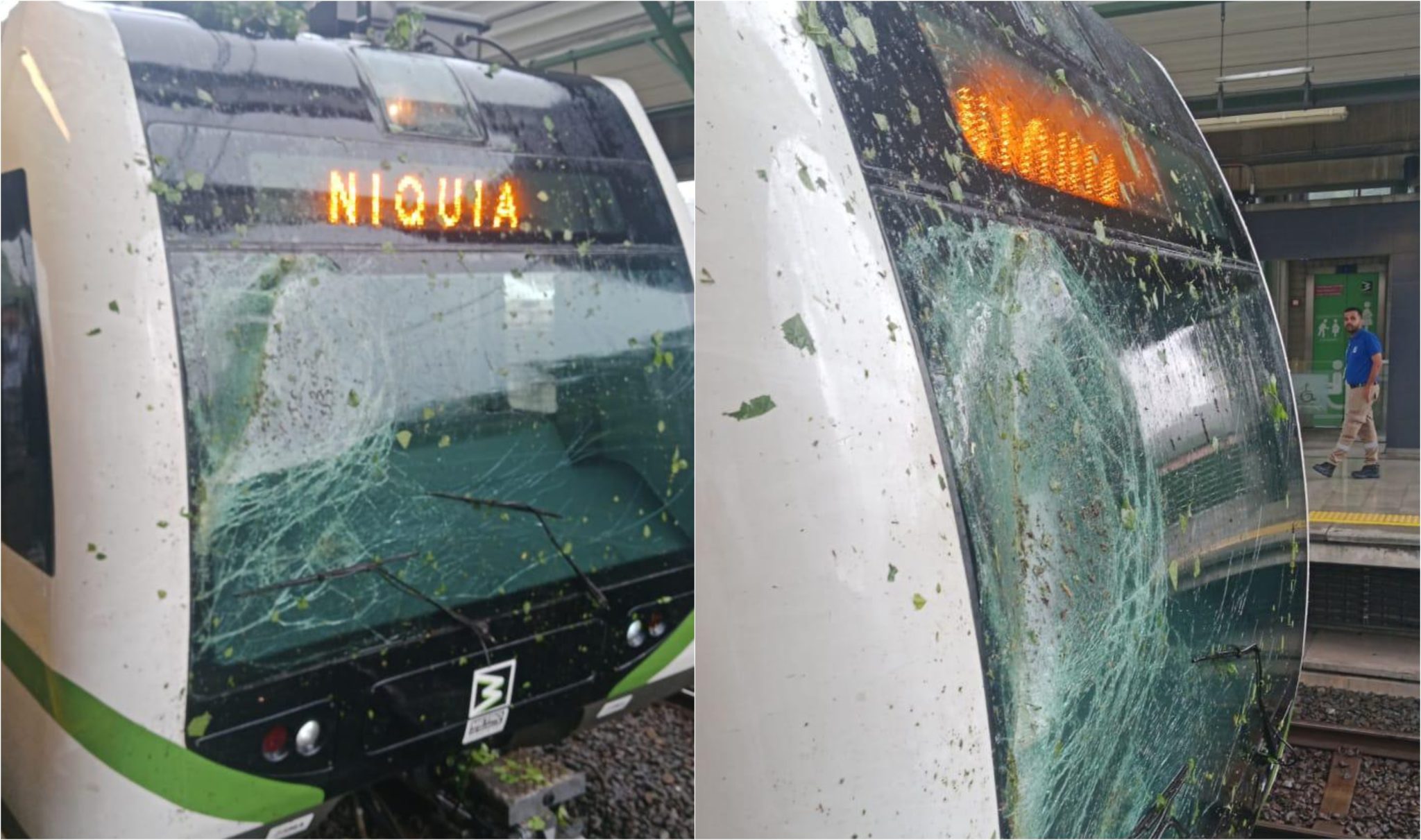 [Fotos] Por el aguacero cayó una rama que dañó uno de los trenes del Metro