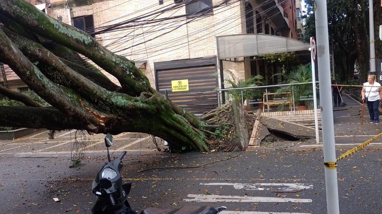 Fuerte aguacero deja caída de árboles y vías inundadas en Medellín