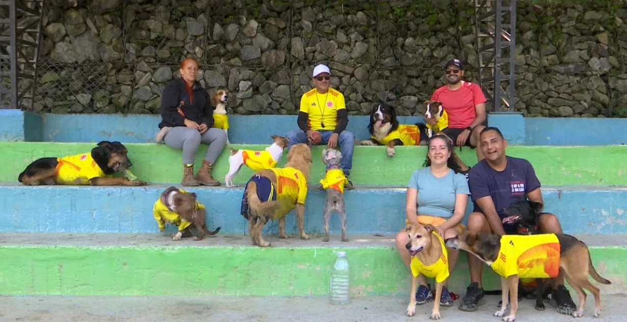 Conozca a la 'Selección Colombia' de perritos que se reúne Medellín