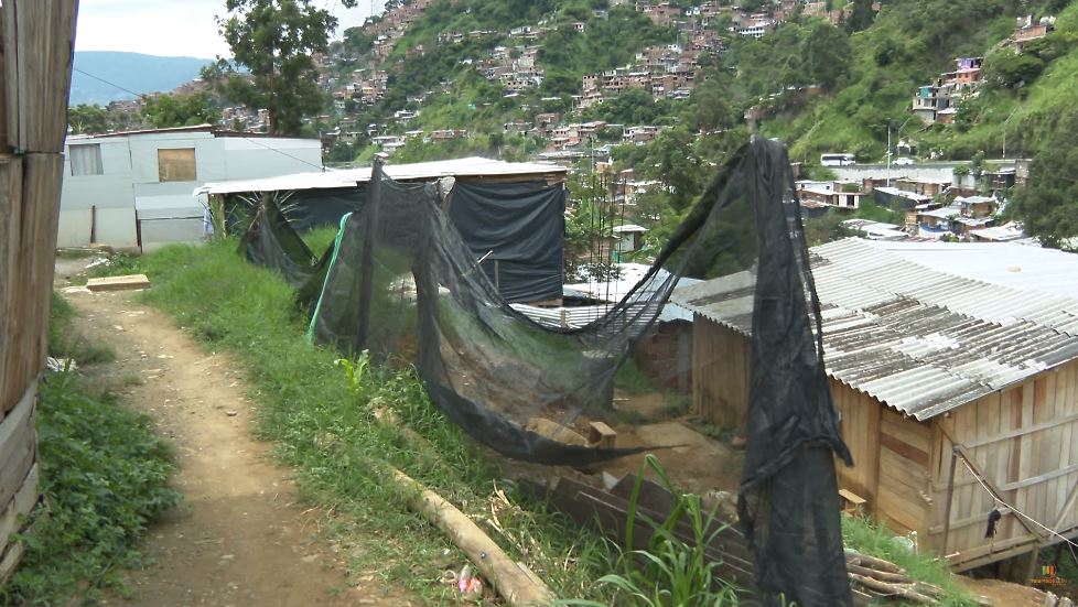 En Medellín hay 25 puntos críticos con alto riesgo de deslizamiento