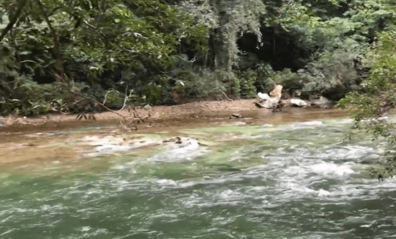 Encuentran cuerpo de hombre que se ahogó en Río Claro
