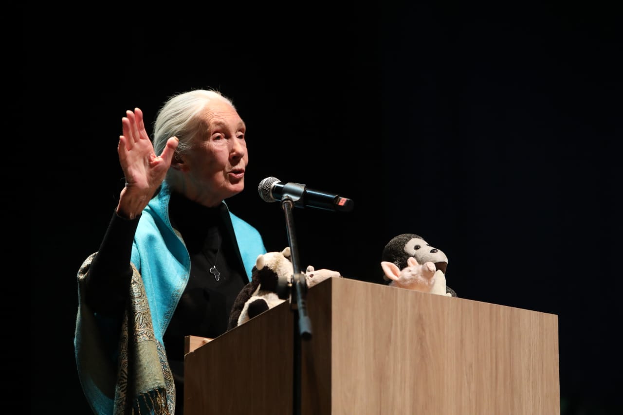 El mensaje de Jane Goodall a los jóvenes en Medellín que sueñan trabajar por los animales