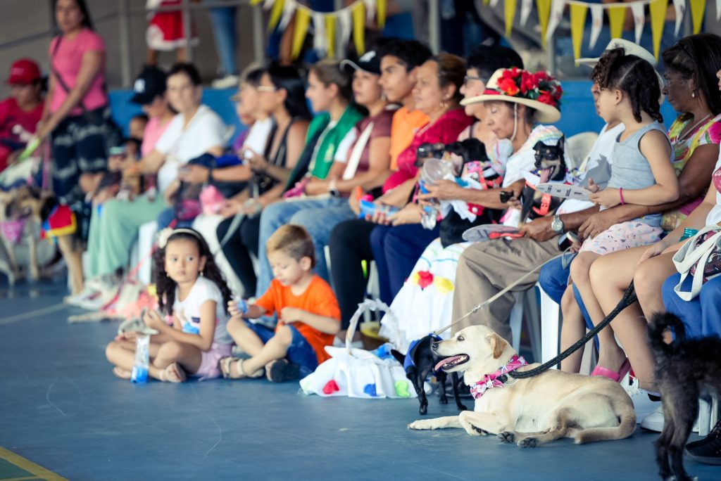 fiestas en cisneros