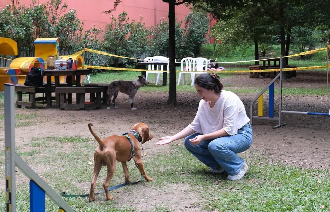 Prográmese: este domingo habrá Mascotas al Parque y celebraremos el Día de los Abuelos