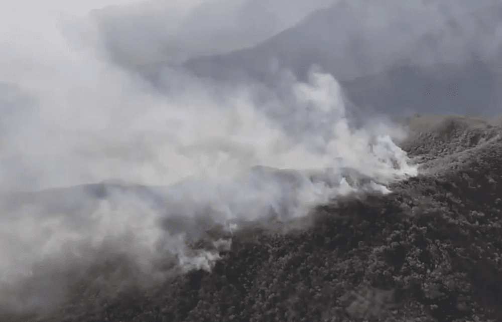 Hay alerta por más de 20 incendios activos en cinco departamentos: ¿cómo está Antioquia?