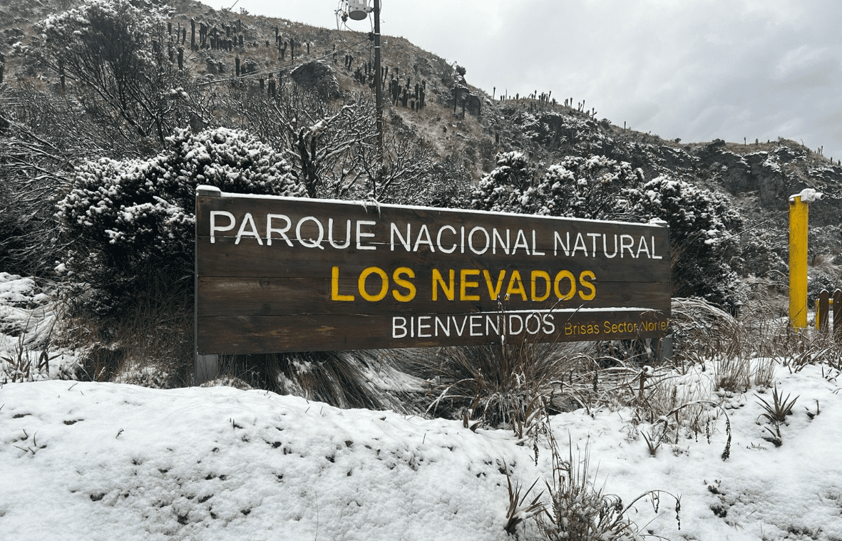 Nevó en el Parque de los Nevados y así se vio el imponente paisaje blanco