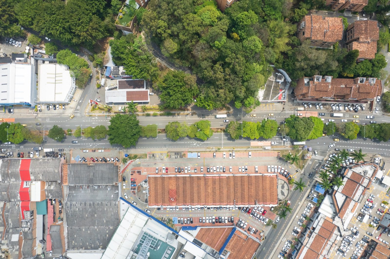 Nuevo corredor verde ayudaría a disminuir la temperatura en este sector de Medellín