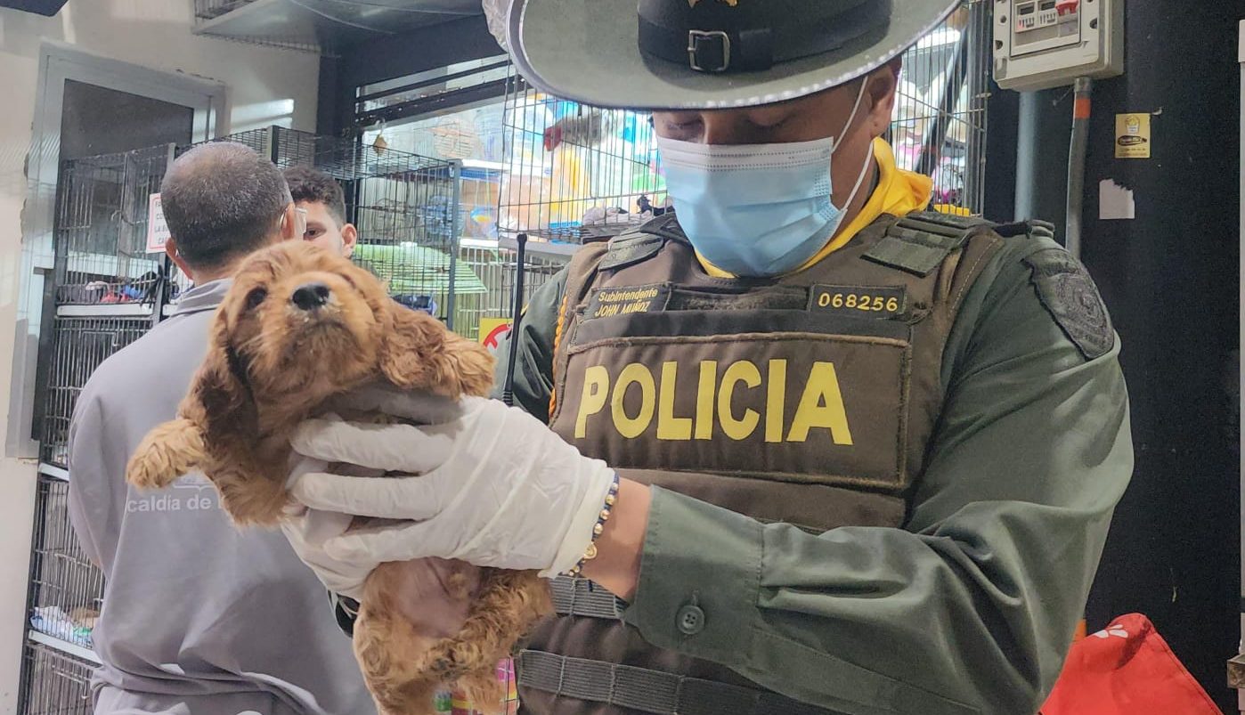 Rescatan animales de compañía en malas condiciones en la Plaza Minorista