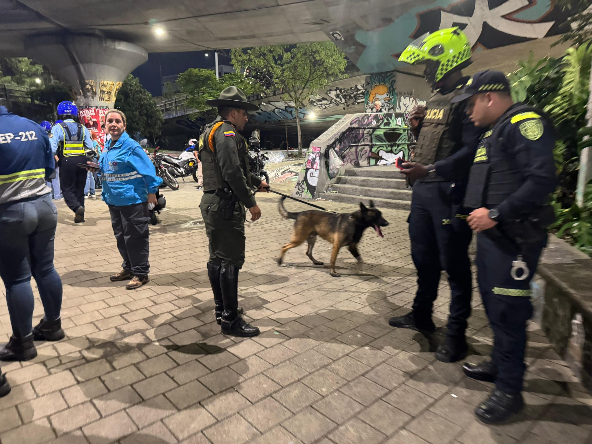 Incautan marihuana en el puente de la 4 Sur gracias a Zeus, perro antinarcóticos