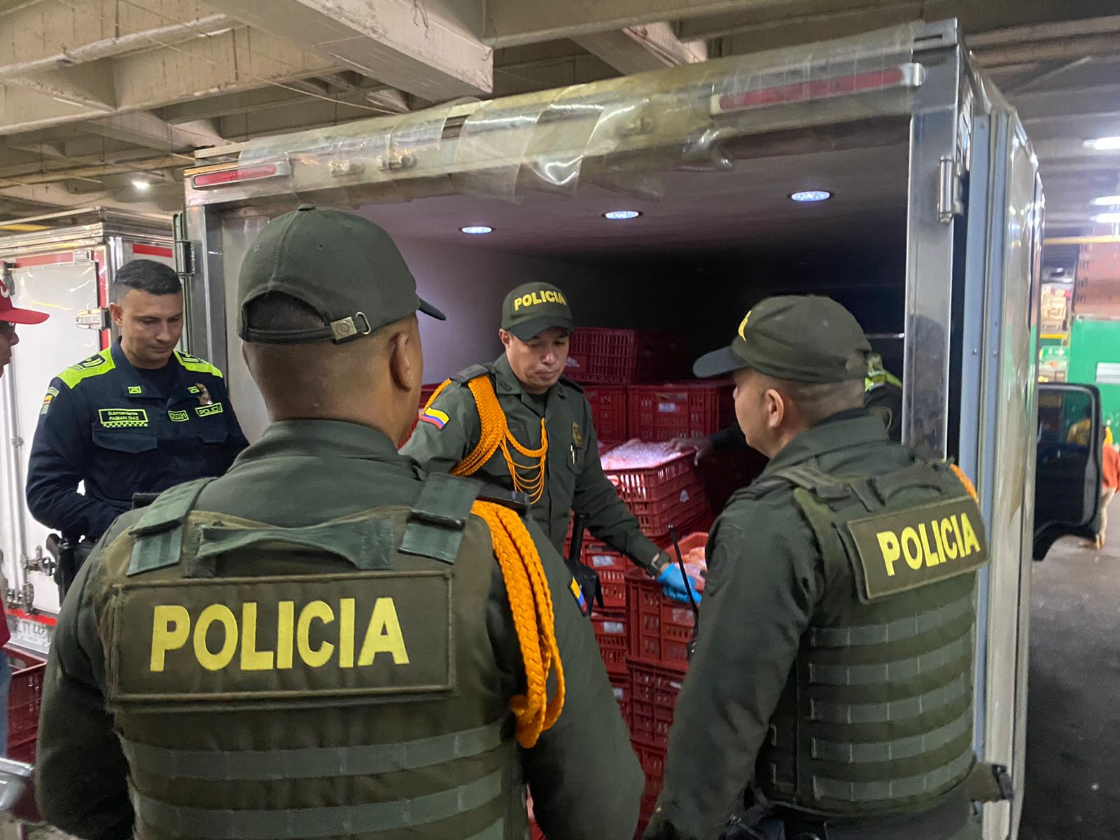 Incautan siete toneladas de pescado de la especie tilapia