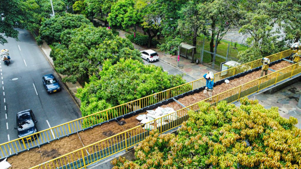 Reciclan puentes peatonales en desuso para convertirlos en pasos de fauna