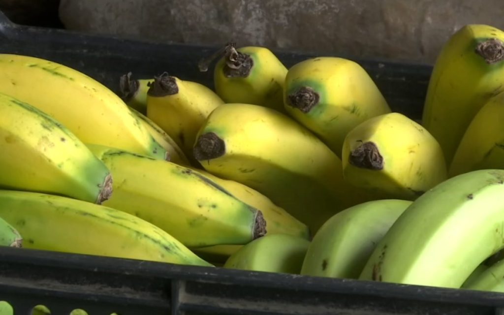 Hay intermitencia en llegada de alimentos a la Central Mayorista por paro minero