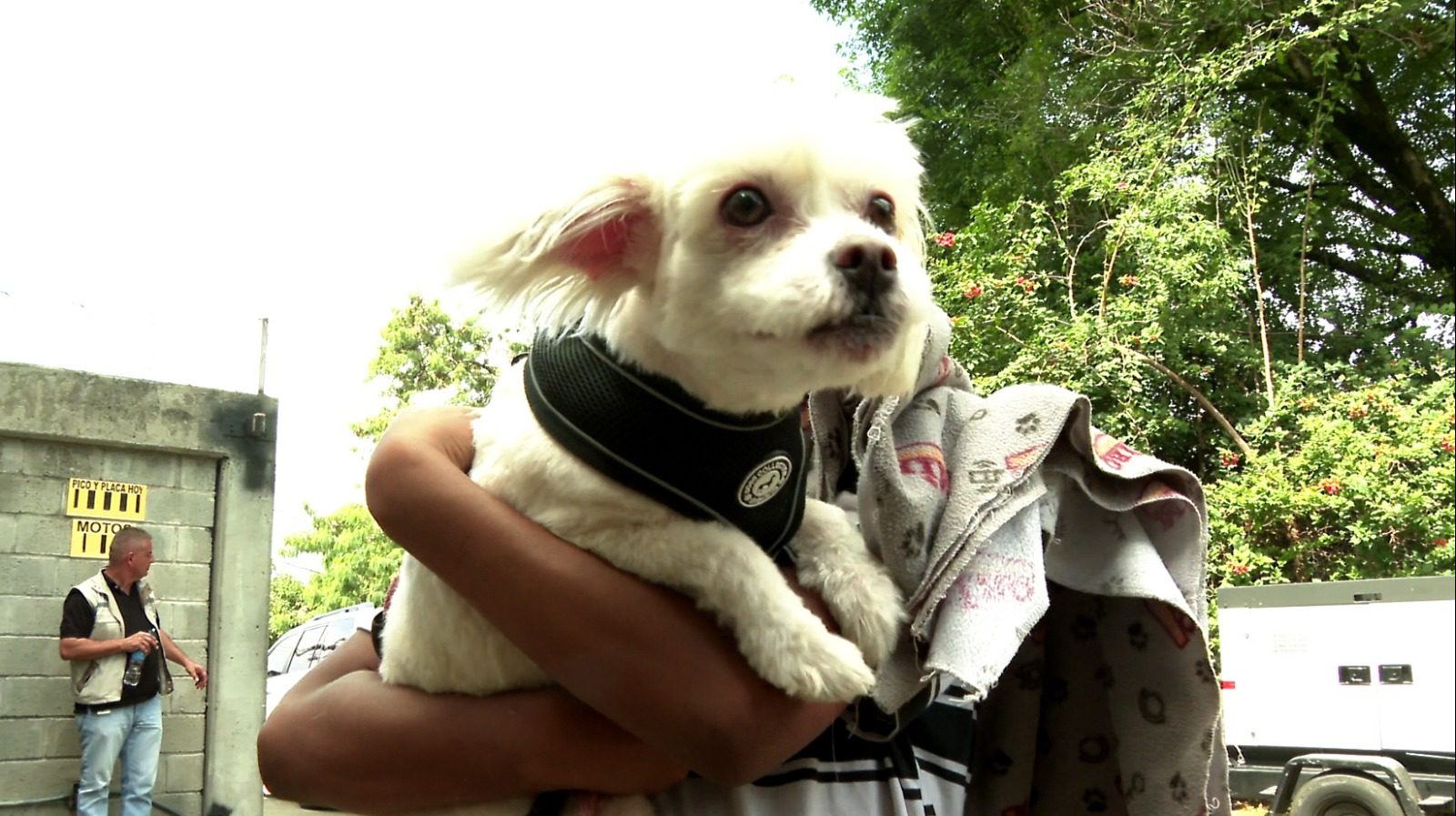 Emotivo reencuentro de una perrita y su familia tras emergencia en El Sinaí