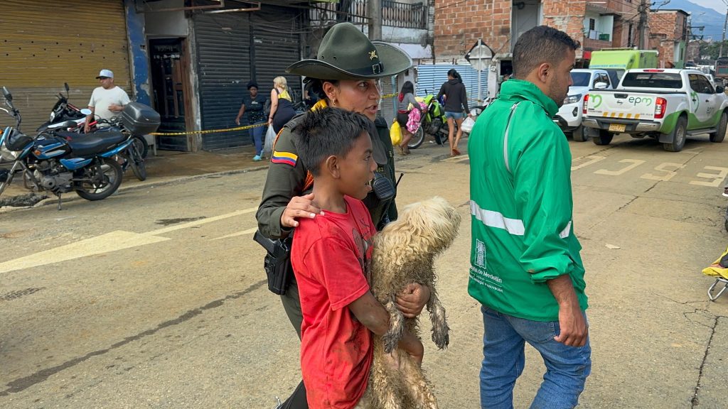 Mascotas afectadas por inundación en Santa Cruz también recibieron atención