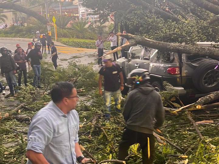 Tormenta eléctrica en Medellín: reportan granizada y árboles caídos