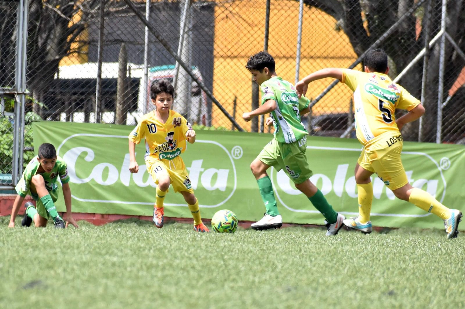 Cuenta regresiva para el Baby Fútbol que se verá por la pantalla de Telemedellín