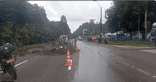 Joven de 20 años murió por caída de un árbol cuando iba de pasajera en moto