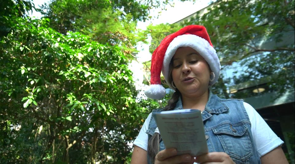 Así puede conectarse con las novenas navideñas de Telemedellín