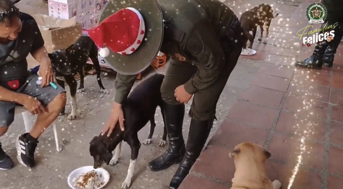 Policía del Atlántico organiza cena navideña para perritos sin hogar