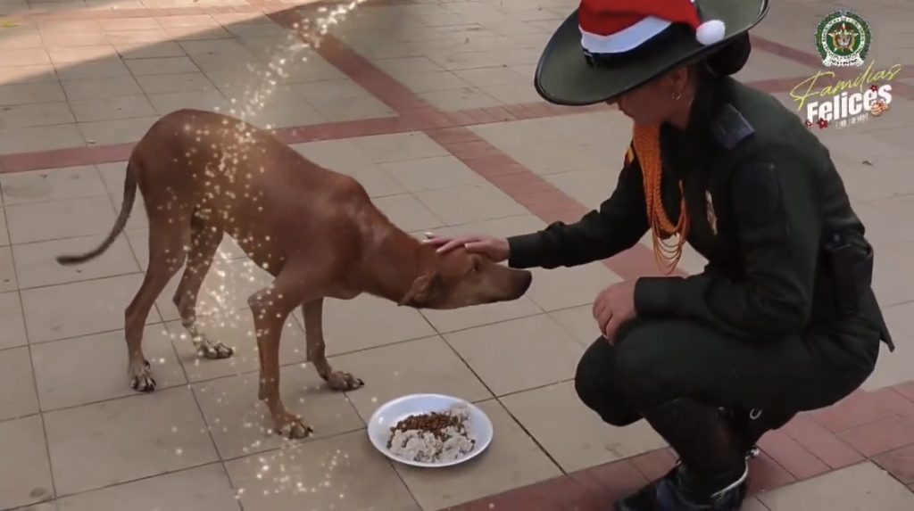 Policía del Atlántico organiza cena navideña para perritos sin hogar