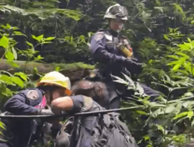 Rescatan a cuatro personas extraviadas en El Romeral