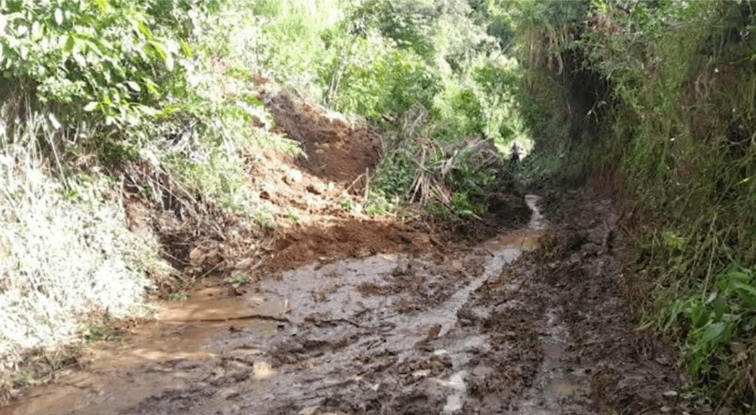 Corregimiento de Andes se encuentra incomunicado por ocho deslizamientos