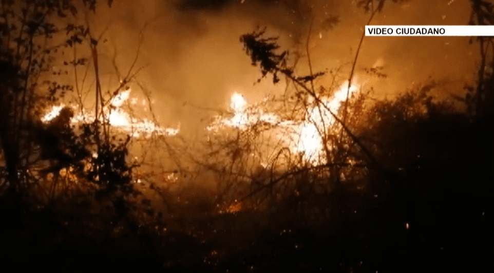 ¡Cuidado! Esta es la temporada donde ocurren más incendios de cobertura vegetal