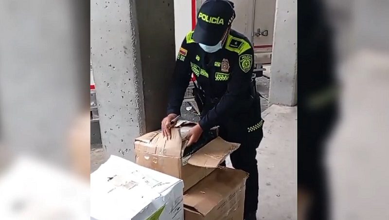 Incautan 75 mil gramos de drogas camuflados como encomiendas