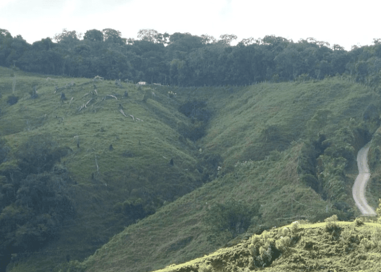 Campesino cayó en un campo minado en Anorí y quedó gravemente herido