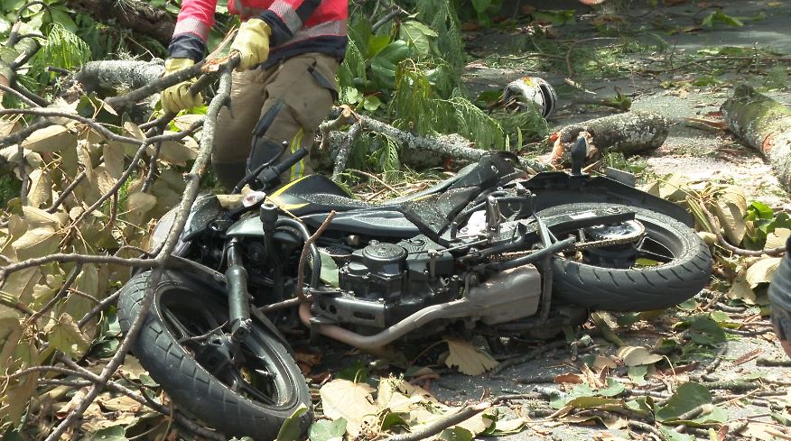 Quién era el hombre que murió por la caída de un árbol en la avenida 33