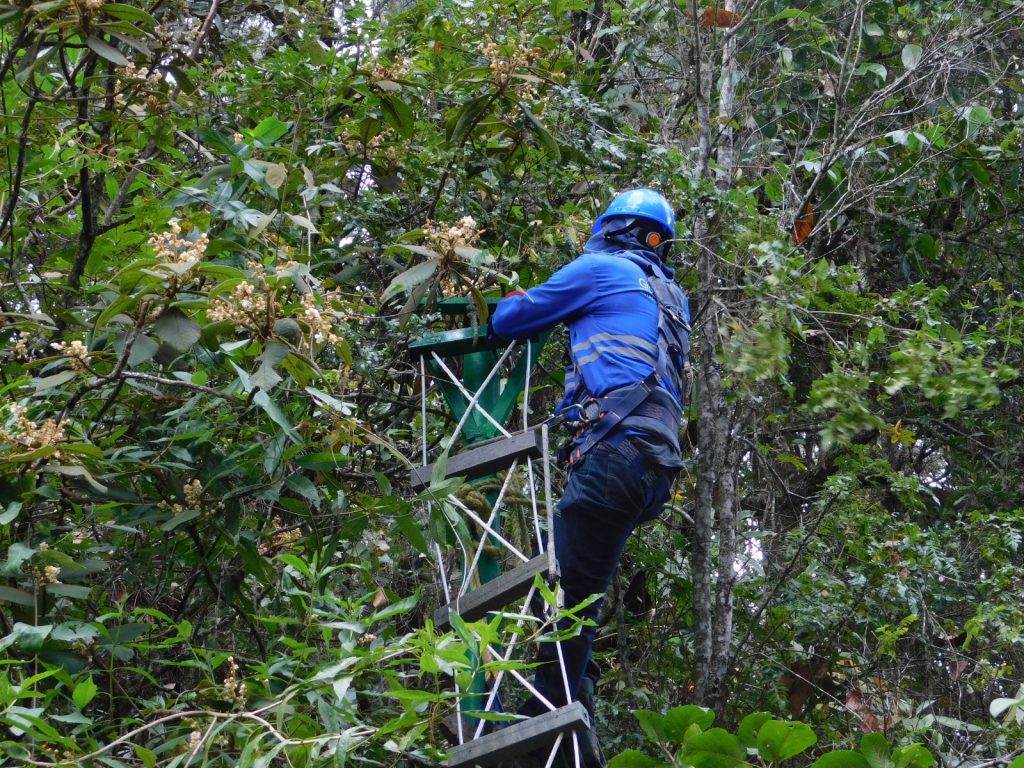 Medellín inaugura dos nuevos pasos de fauna para proteger la biodiversidad