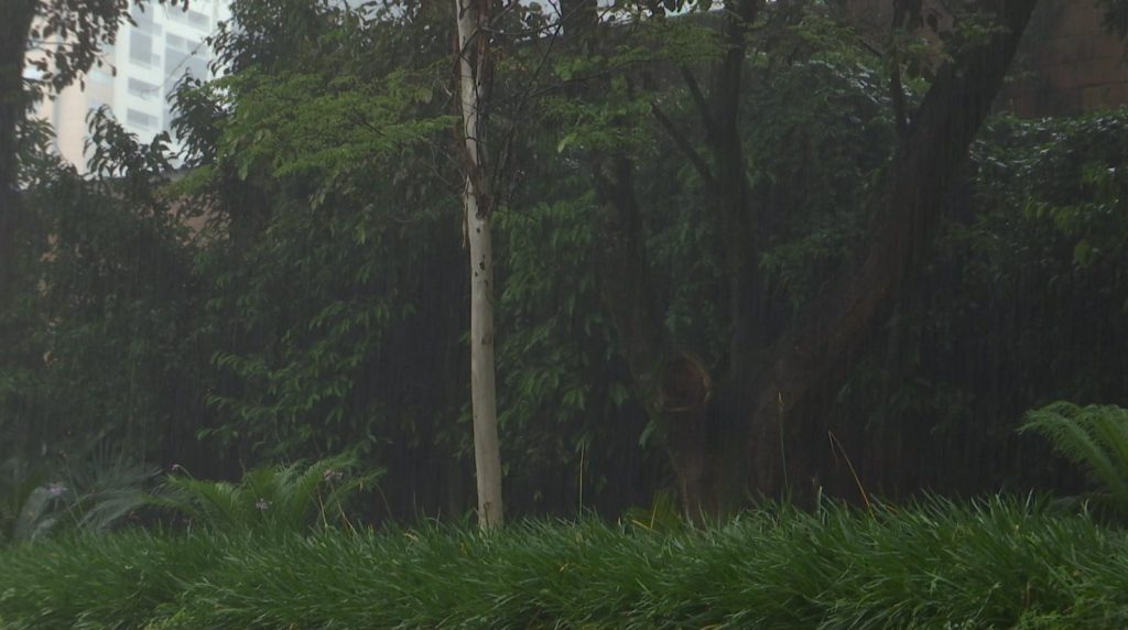 ¿Por qué está lloviendo tanto en una época inusual? Expertos dan la razón